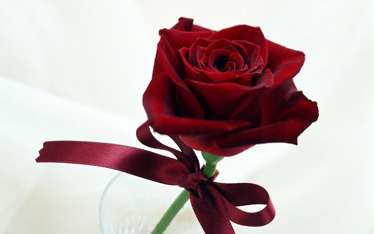 chandi_sher's tweet photo. @monerief Happy Birthday to you my dear Sister and Friend 🎁🎈🎈🎈🎉💌🎂🙏😊 https://t.co/o4Ll9htGN8