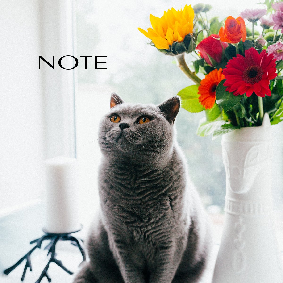 NoteSingapore's tweet image. All eyes on you ;) #note_sg