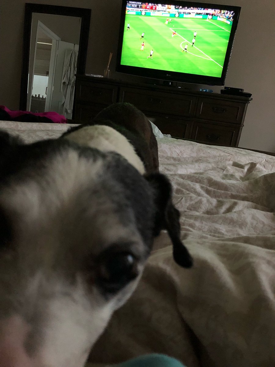 TheFourHornsmen's tweet image. And just like that #BillyRay is awake @PLinUSA #GOALLLL #MyPLMorning