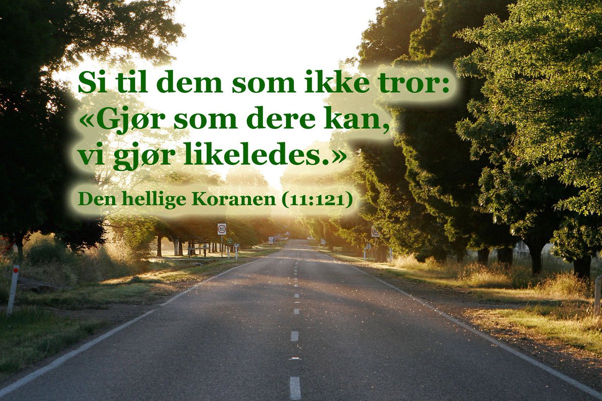 Du finner mye god visdom i den hellige Koranen.