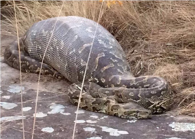 View image on Twitter