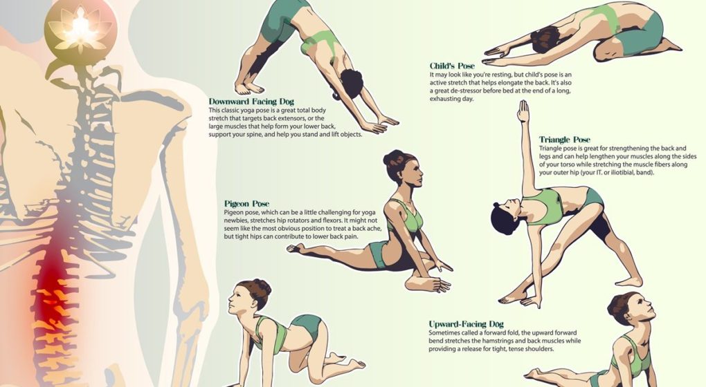 parvezbdjsr's tweet photo. Using Yoga to Relieve Chronic Lower #BackPain 
What kinds of yoga poses are ideal for lower back pain? Here’s a closer look at how yoga can help the lower back. https://t.co/ueMbKVvhd9 mention @Yoga_Journal @CorePowerYoga @YogaWorks @YI_Mag https://t.co/pUlfw8YxaN