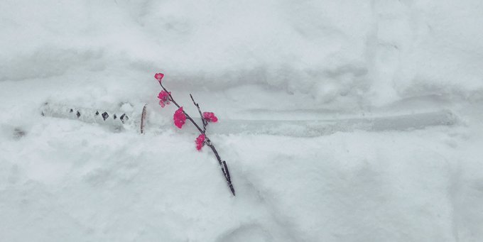 Twitterのコスプレ画像93