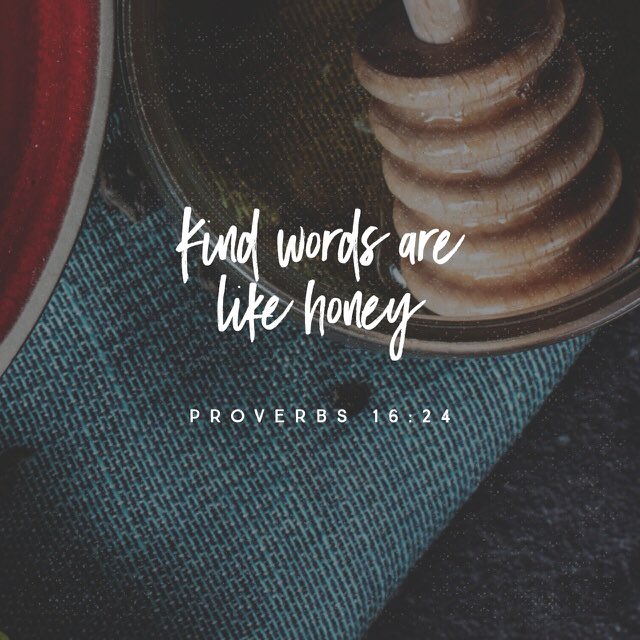 bible.com/1/pro.16.24.kjv
