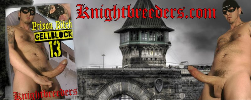 PURCHASE 2 DOWNLOADS FET THESE 3 DOWNLOADS FREE
