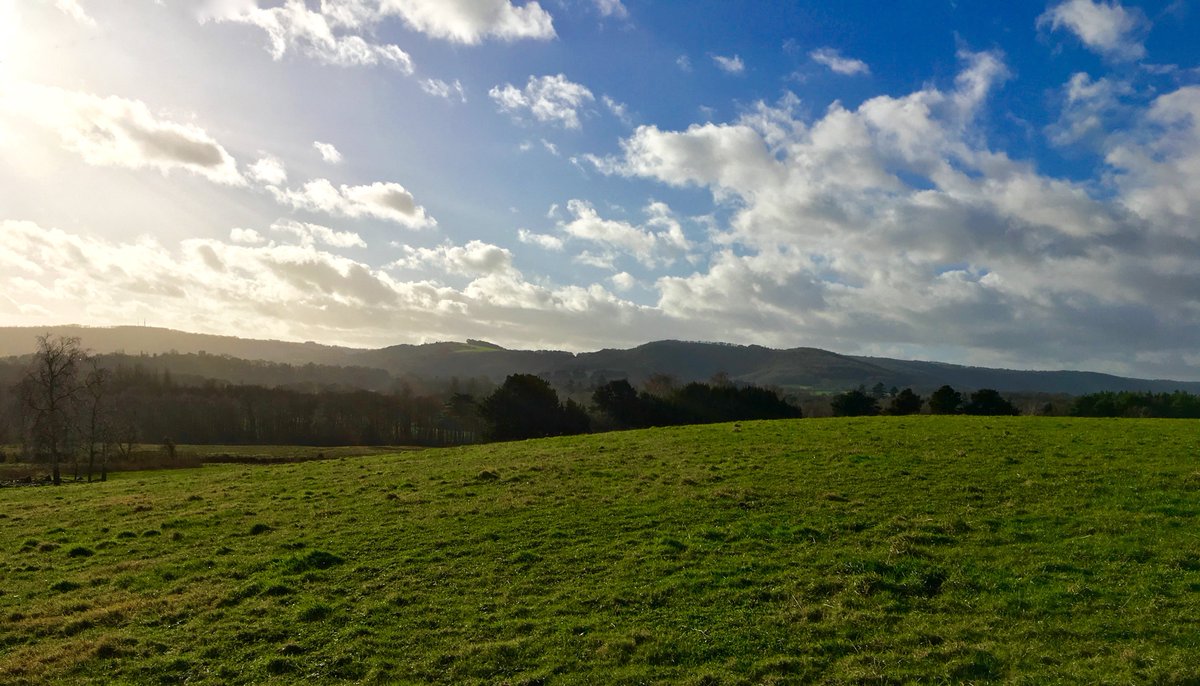 BignorPark's tweet photo. We are excited to announce that Ha'penny Hill, a wonderful meadow on the estate overlooking the #SouthDowns, is available for a select number of #wedding bookings later 2018 &amp; onwards. For more info please contact mike@tentsnevents.co.uk @TentsnEvents #weddingvenue #WeddingVenues https://t.co/Z7LxrKykm7