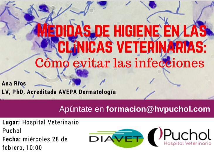 Diavetlab's tweet photo. Comenzamos!!!!! 
https://t.co/534NMucrWL https://t.co/nzEysaAKLf