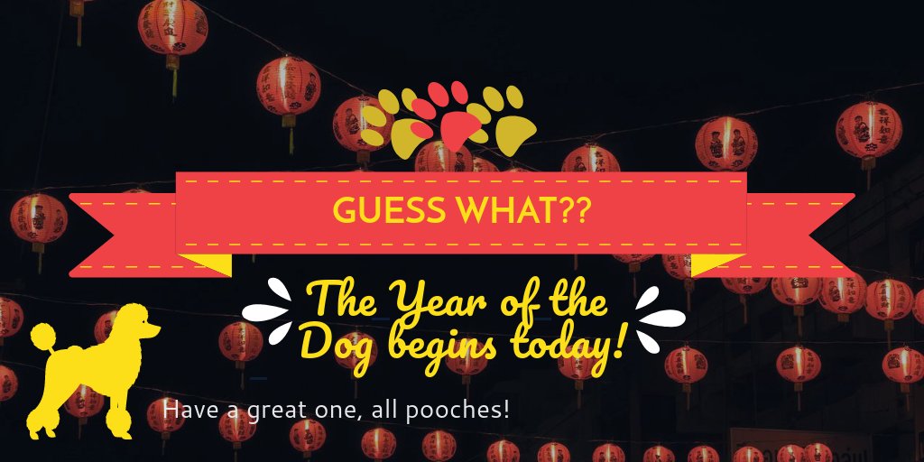 pawsmarketing's tweet photo. #ChineseNewYear2018 #YearOfTheDog #PawsMarketing https://t.co/EsWGnkOdX0