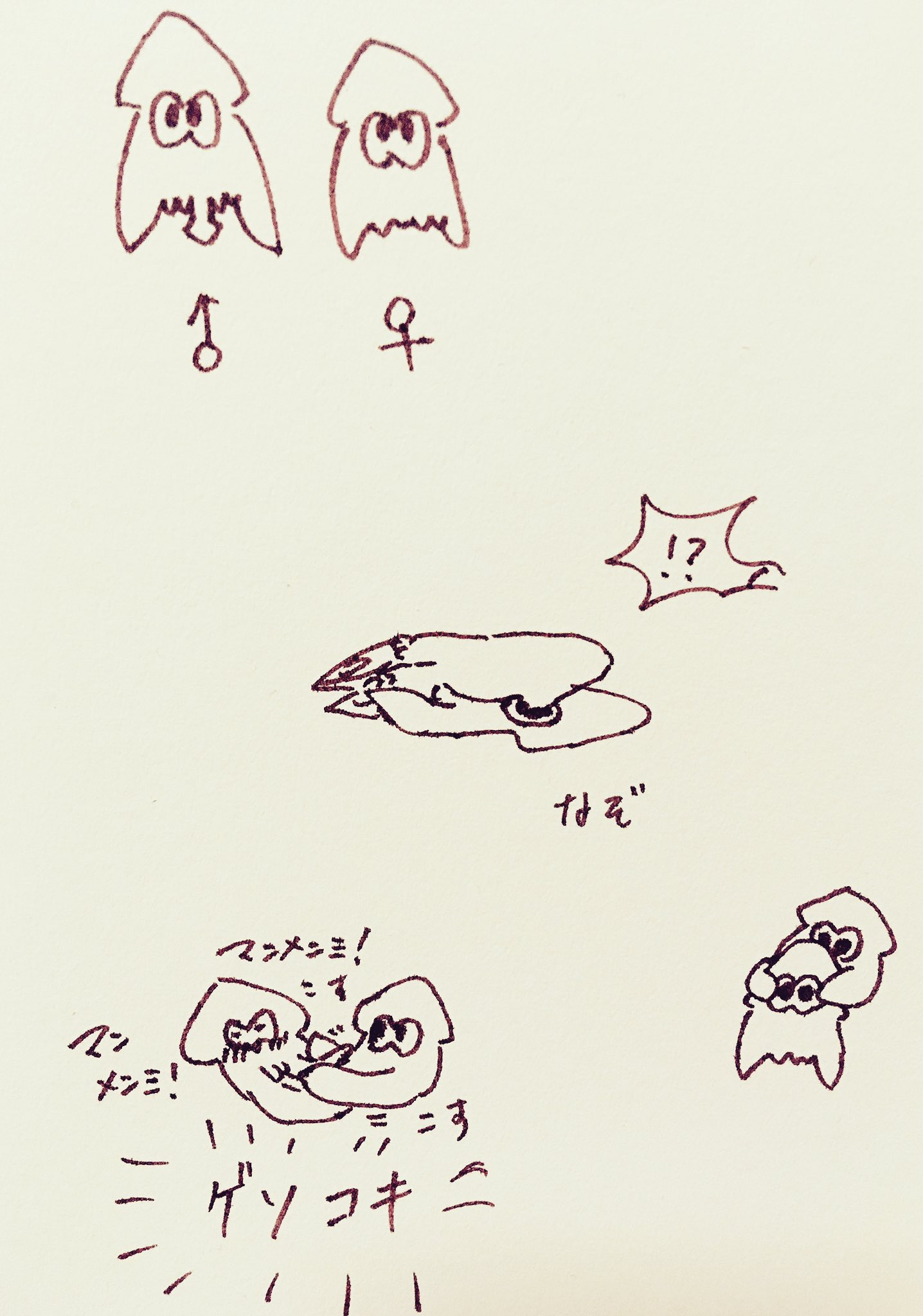 かねこ 昨日の深夜 今日の朝方 にバイト終わりにフレンドさんと突然いか姿の交尾ってどうするんですかねとかいう話になって いかの 交尾の仕方や性器について調べ始めて 画像検索したフレンドさんから頂いたものを参考に私が描いたふざけた絵がこちら かねこ 昨日の深夜 今日の朝方 にバイト終わりにフレンドさんと突然いか姿の交尾ってどうするんですかねとかいう話になって いかの 交尾の仕方や性器について調べ始めて 画像検索したフレンドさんから頂いたものを参考に私が描いたふざけた絵がこちら