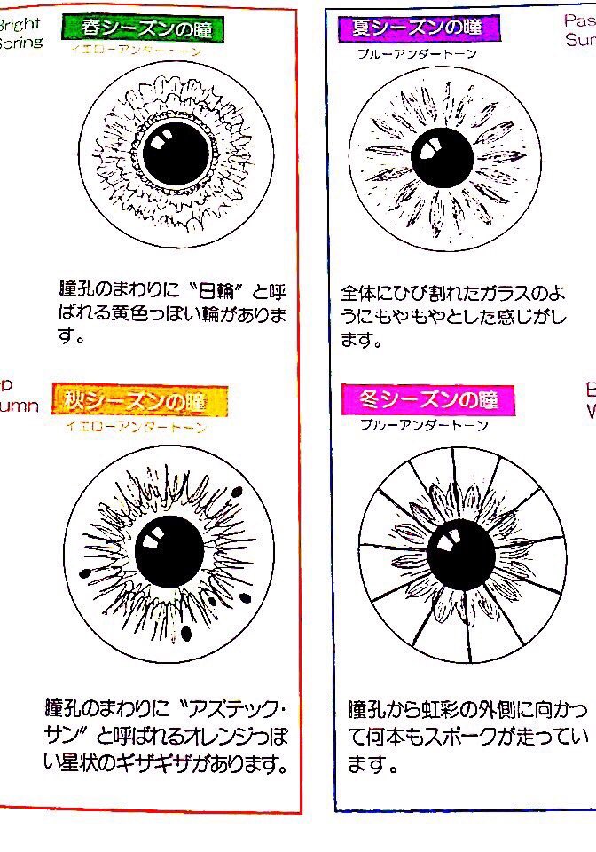 みぽりん先生 パーソナルカラー夏の友人の虹彩との比較 確かにもやもやした感じがある 友人は黄み肌のブルベ美女です フューシャピンクや青色全般が得意でよく似合っています