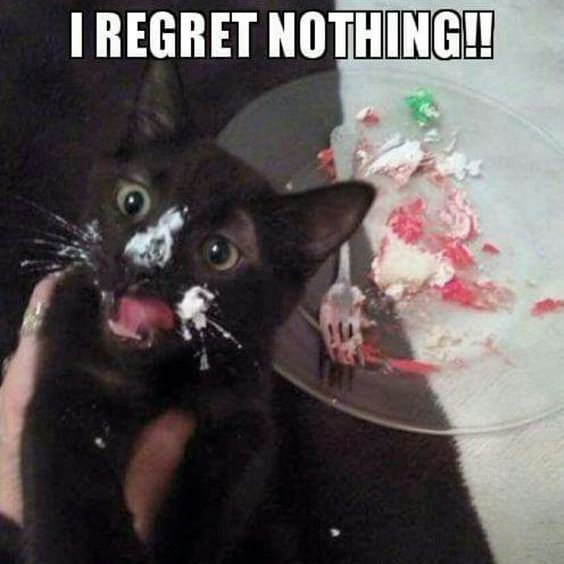 ForestBunnyShop's tweet photo. Regret nothing ! 😹😹😹
Follow us for more photos  😺
Thank You! ♥️
________________________________________
#kitties #cutekittens #kittensleep #aww #cutecats #littlekitty #kittens #catsandkittens #catlover #catowner #catlovers #cataddict #lovemycats #cuteness #dailycat #catf https://t.co/PhCCPIWJm4