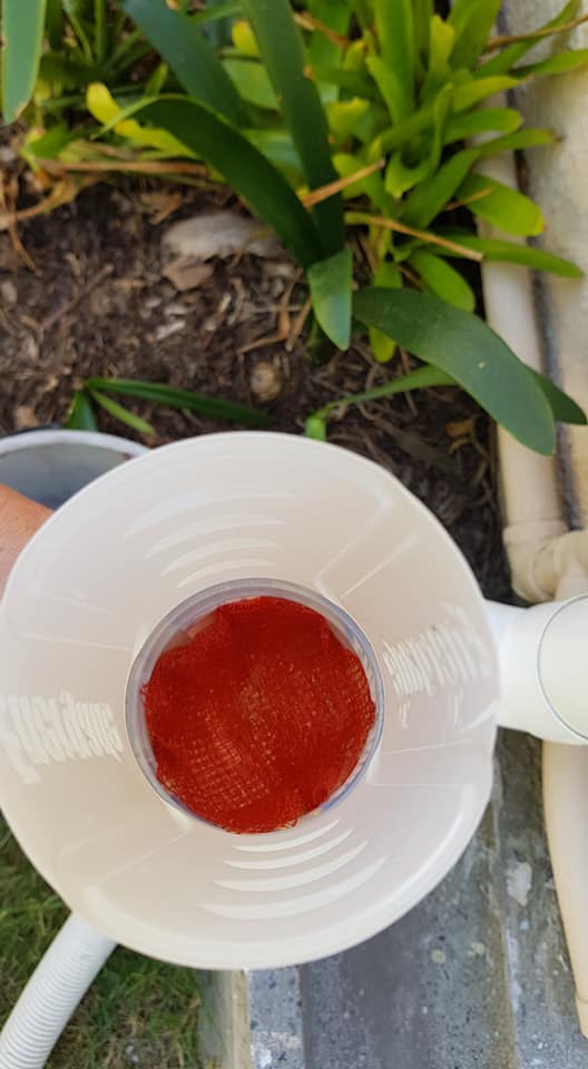 sbrittan13's tweet photo. I came up with this to keep my fish alive during the #CapeTownWaterCrisis. I cut off the bottom of an Energade bottle &amp; it was a perfect fit for the gutter &amp; pool pipes! I've added a filter to remove gutter gunk made from a vegetable bag. #News24WaterTips #DefeatDayZero #DayZero https://t.co/8ccfzbM3Ao