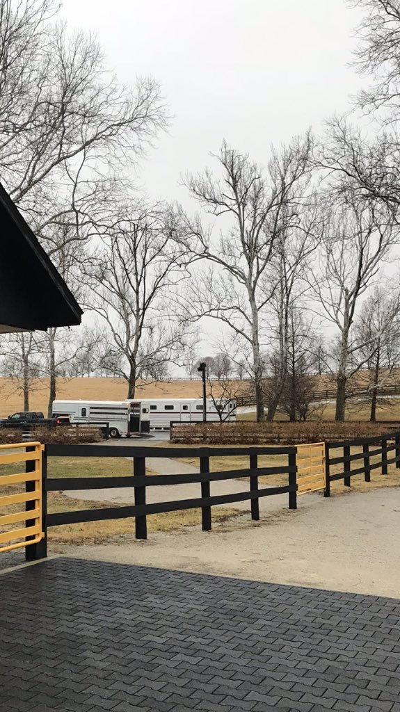 WalkerHancock's tweet image. The @claibornefarm breeding shed is open for business #letsgetitstarted