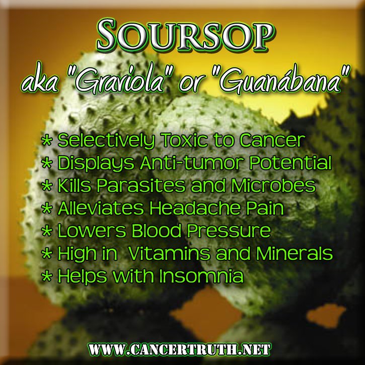 nubia_watu's tweet photo. Annona MuriCata, #Soursap SweetSap #Guanabana #Graviola
Cultivated in tropical climates, sun kissed! Traditionally the leaves are also used for many ailments.
Health thy Self. Health is Wealth. https://t.co/ZfuRrXjpjp