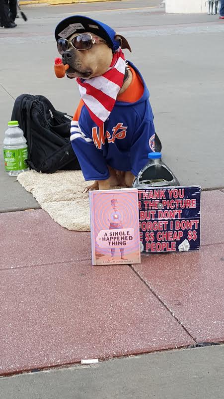 DanielPaisner's tweet photo. #PitchersAndCatchers!... six more weeks 'til #OpeningDay-time enough to read one of the most widely under-read #baseballnovels of the season, inspired by one of the most under-appreciated greats of the game...
#SpringTraining @RelegationBooks #FredDunlap
https://t.co/YxBf4yrBWk https://t.co/eCb3eUGw5t