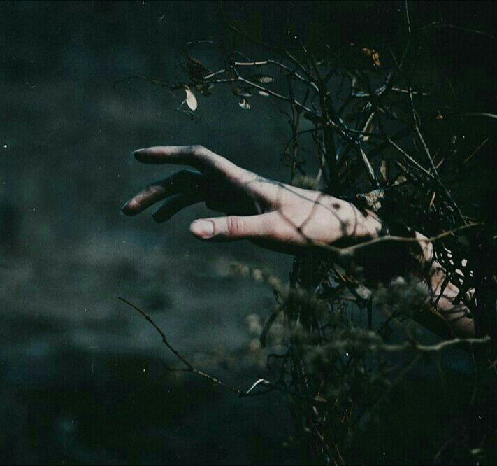 ✘ 𝑴𝒐𝒏𝒐𝒓𝒐𝒍- ᴇɴ ᴇʟ ʙᴏsϙᴜᴇ  ✘

                      -Pérdιdaѕ nocтυrnaѕ-