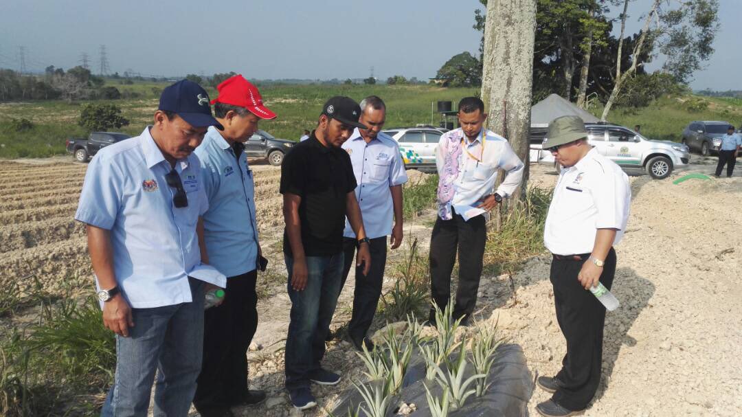 Ipah Johor Ipahjohor Twitter