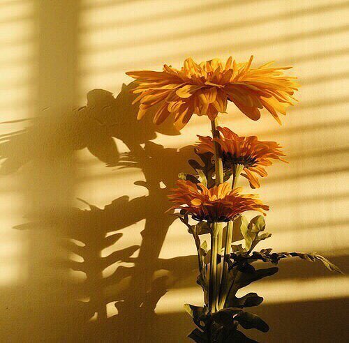 itfeelquotes's tweet photo. Small things sometimes mean a lot.

สิ่งเล็กๆน้อยๆ
บางครั้งก็มีความหมายมากๆ https://t.co/EJzbIToZ7y