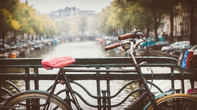 Transport

The Amsterdam Bicycle Network is 767km of cycle lanes and bike path. Amsterdammers cycle ~2 million km a day. #amsterdam #autumn #bikes #canals #city #explore #exploremore #leaves #netherlands #travel #trees #vsco #water #instagood #look #late… ift.tt/2sidu1m