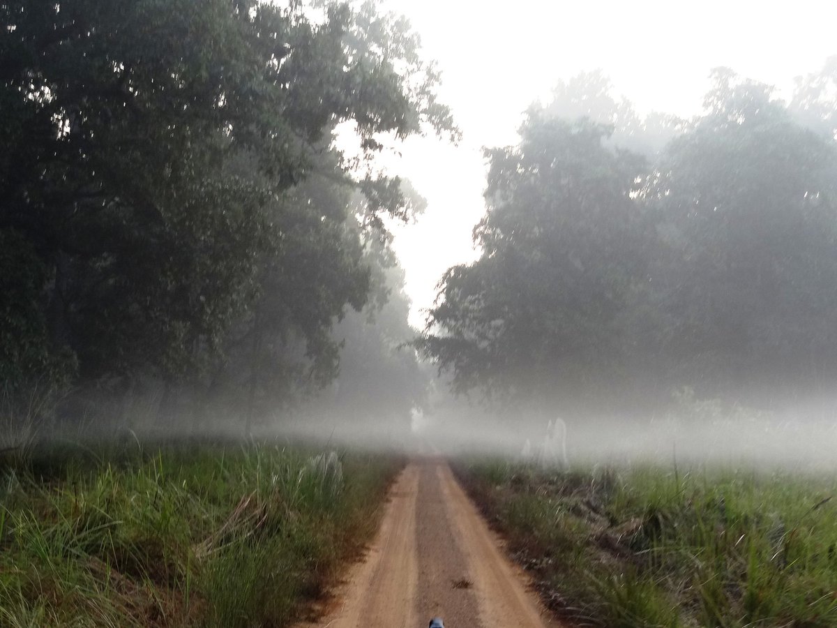 @upecotourism @uptourismgov @incredibleindia @myogiadityanath @nawalahuja @UPGovt @Solitaryreapers Dudhwa wildlife is full of fun and being closer to God's created nature....