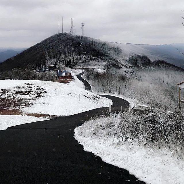 Alex Motz tweet media