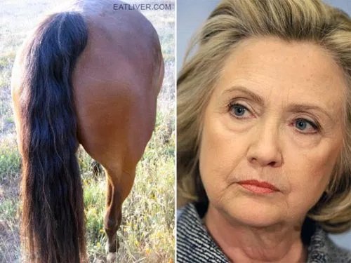 geist6765's tweet image. This picture says it all lol