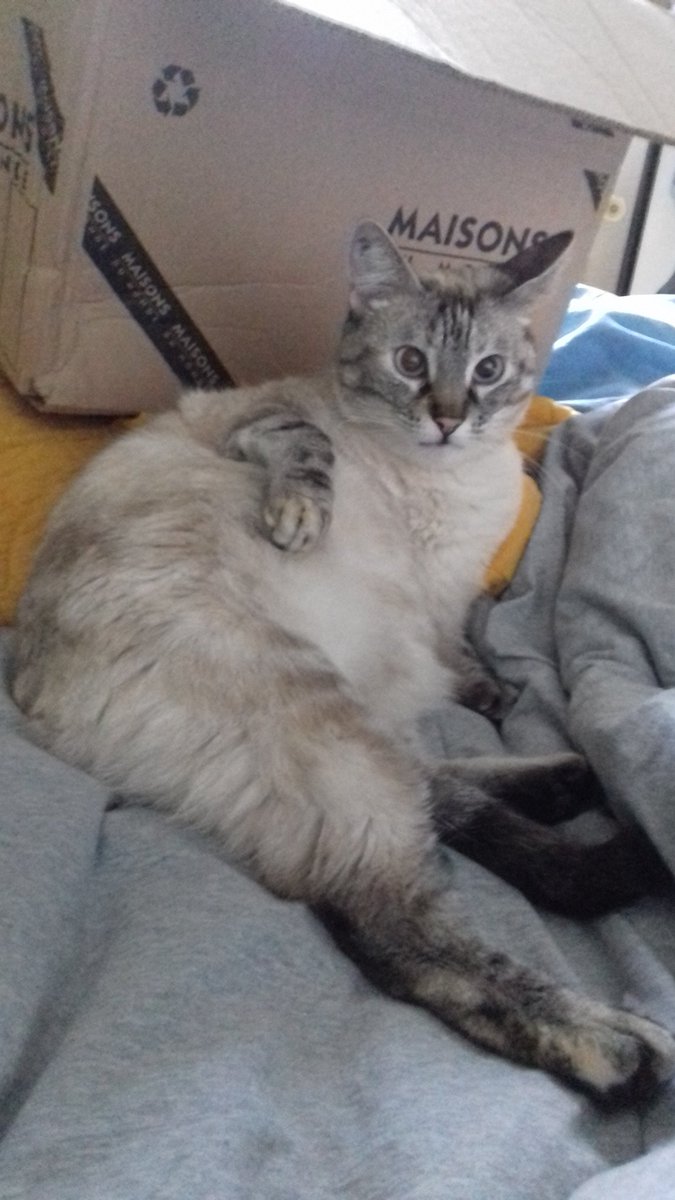 titpudding's tweet image. Draw as one of your french girl