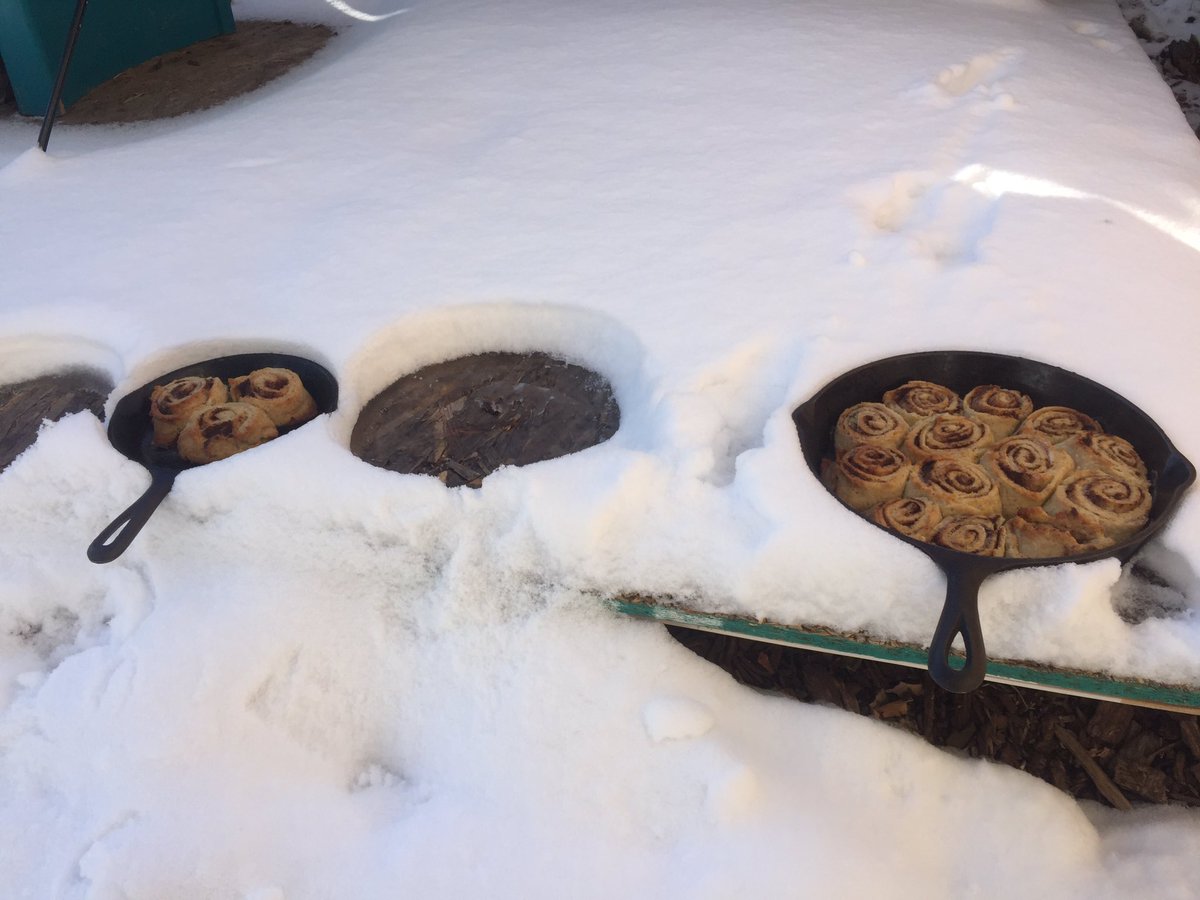 russ_holger's tweet photo. Cooling off Second breakfast https://t.co/bA3IMjVyD3