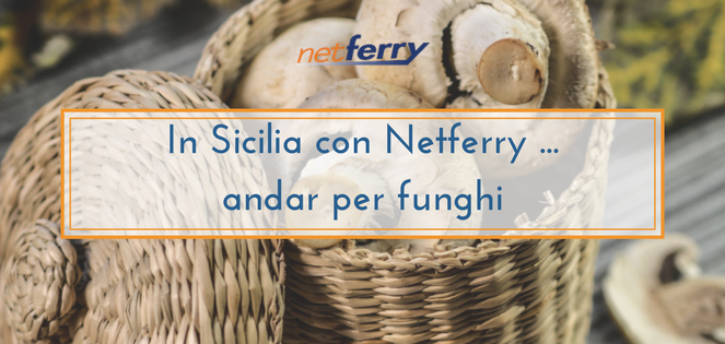 Ci avventuriamo in boschi e campagne della Sicilia alla ricerca dei gustosi funghi selvatici. Vuoi venire con noi? ow.ly/Iaav30i0RrD #sicilia #funghi