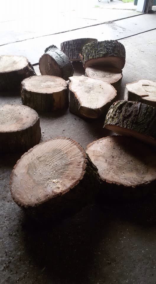 Er is weer hard gewerkt om de hout voorraad op peil te krijgen. Goed bezig mannen!