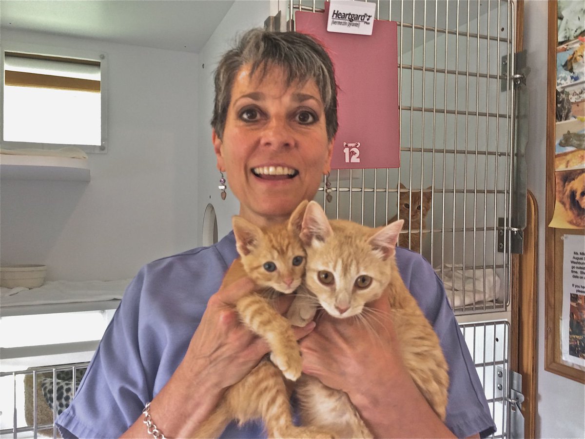 PilotsNPaws's tweet photo. 12 #Fabulous #Felines caught #PNP Freedom Flights from KY to #HelpingPawsRescue in WI #TheBadgerState. All of these #Purrfect Pets, on the euthanasia list, are now in loving homes purring &amp; bunting heads with their pet parents showing their #love @BethStern @LoisPope1 #petmate https://t.co/h8sp5flsDe