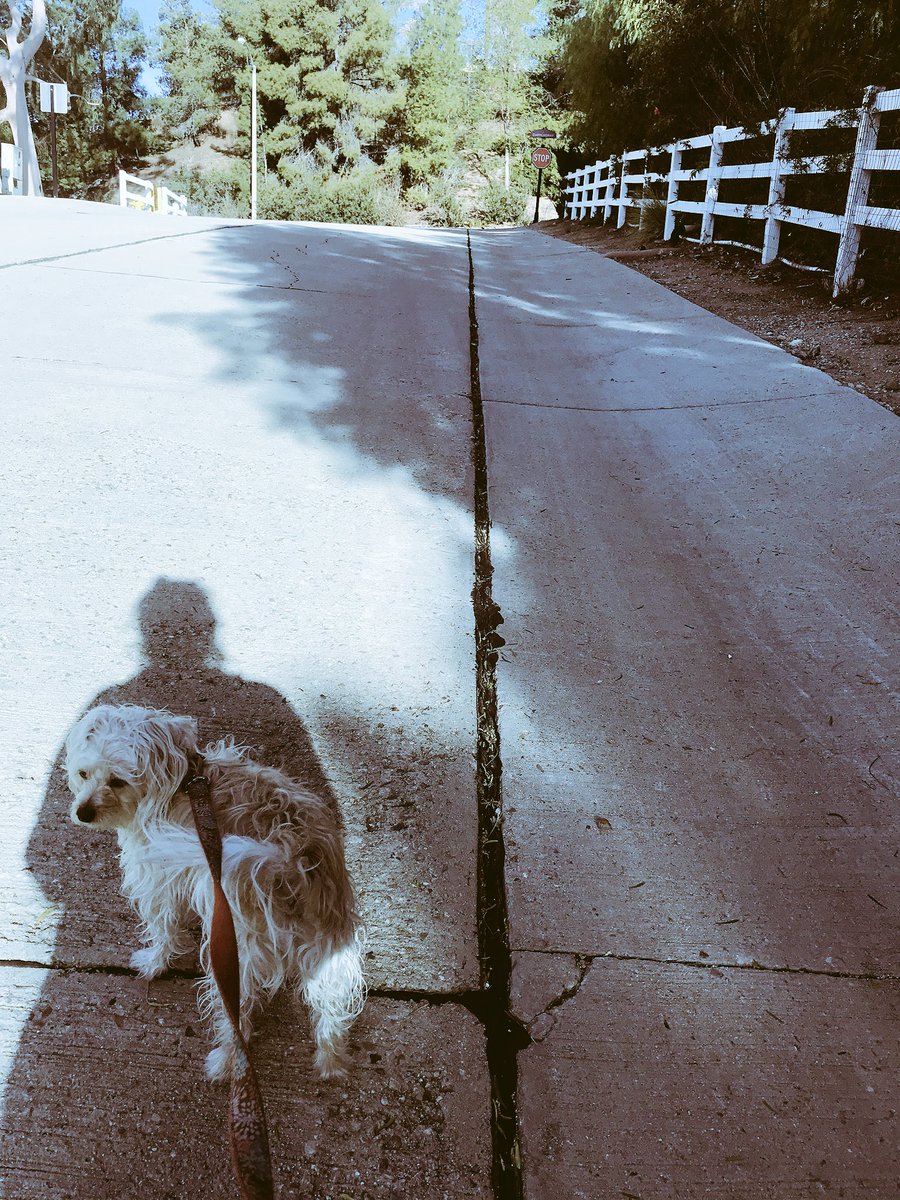 Believe in yourself and in this day. #PositiveVibes #moneycoach #dothework #EnjoyLife goo.gl/KYHDfM