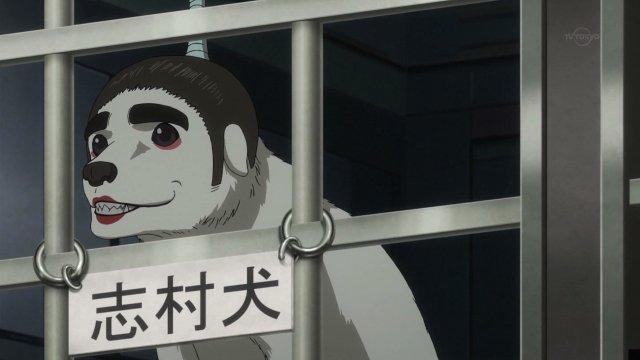 Gomarz Sur Twitter 志村犬ww 銀魂 Gintama Gomarz Sur Twitter 志村犬ww 銀魂 Gintama