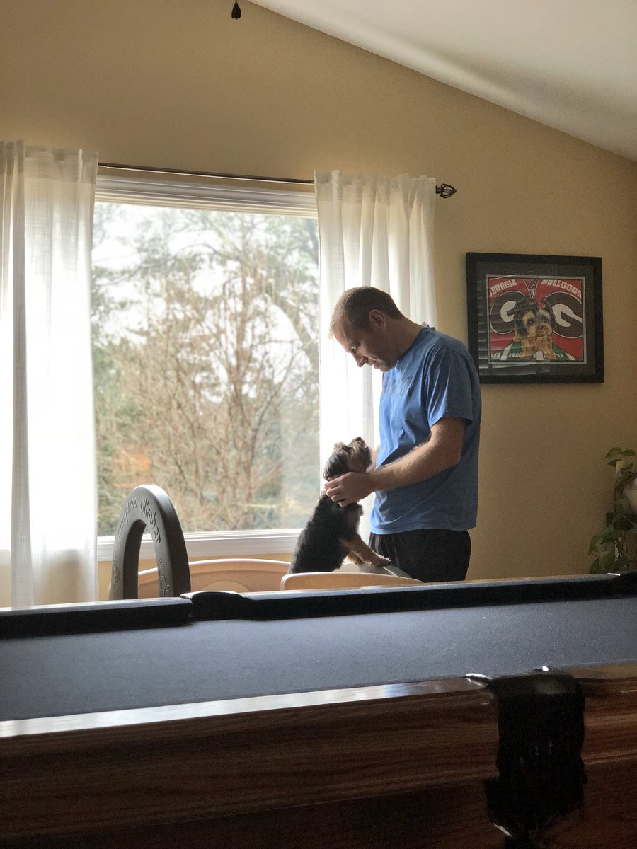 matthewcorentin's tweet photo. βA dog is the only thing on earth that loves you more than he loves himself.β
βJosh Billings
#bestpartoftheweekend @DogsOfTurf https://t.co/vluHBoT6Kf