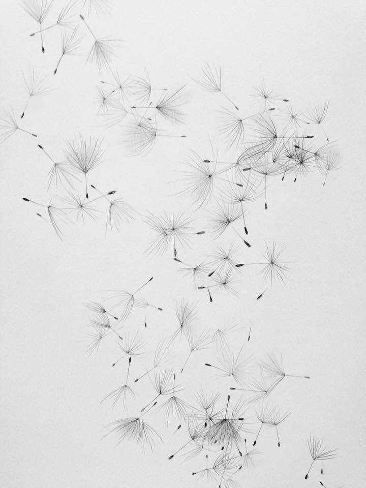 sophieerin_'s tweet photo. A few of my own patterns. Combining repetitive and intuitive mark making feels therapeutic, creating and breaking rules as you go. #WhyIDraw https://t.co/bARkjePoLx