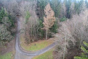 together666's tweet image. Шварцвальд