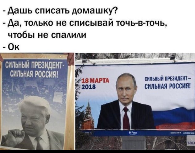 Pink_Putin's tweet image. #выборы #цик #кактус #навальный #лдпр #кпрф #собчакпротиввсех #вк #лидерыроссии