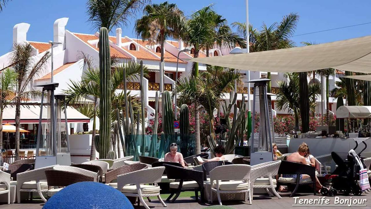 TenerifeBonjour's tweet photo. Btardes !  #LasAmericas #Tenerife @LoqueVeoTfe @paisajecanario @holyber @ChiringPirata @Tenerife_Ocio @nochescanarias @de1969 @Maraguasan @Ogeografica @islaspromo @TesorosCanarios https://t.co/BnnZd7UVeG