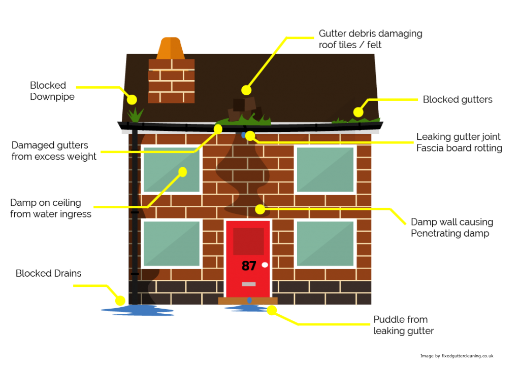 cleanawayNW's tweet photo. The results of our poll are showing that the majority of people don’t know the importance of having gutters cleaned and the impact it can have on the rest of your property. We offer a competitively priced gutter cleaning &amp; inspection service; Contact us today for a quote. https://t.co/ptGerKsQ8Y