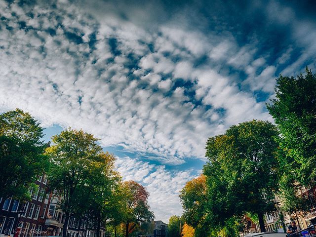 Cloud Cover

I really love clouds. They make looking up during the day so much better. Here a nice view of some cirrocumulus clouds. #amsterdam #autumn #canals #clouds #colours #explore #exploremore #leaves #netherlands #sky #travel #trees #vsco #instago… ift.tt/2G5kUHj