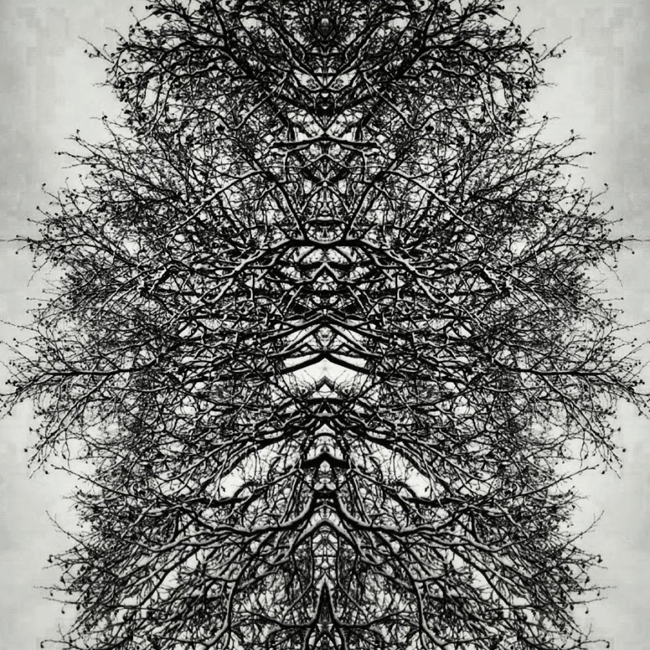 EcomonstrousPhD's tweet photo. ONTOGRAPHY is the inscription of the repleteness of (all) beings, by various means & without closure or reduction. (My rough def.) It is, if you will, a speculatively descriptive surrender to plenum, plenitude, pleroma. #ontography #alienphenomenology #ooo
https://t.co/zUPRi4irTD https://t.co/bAByV6t1Ai