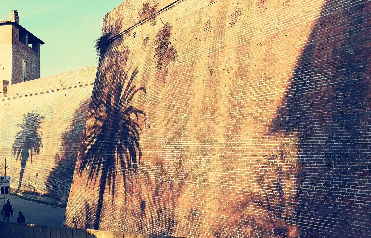 palm bricks #Grosseto #Maremma #Tuscany #Italy #discoverTuscany #winterinTuscany