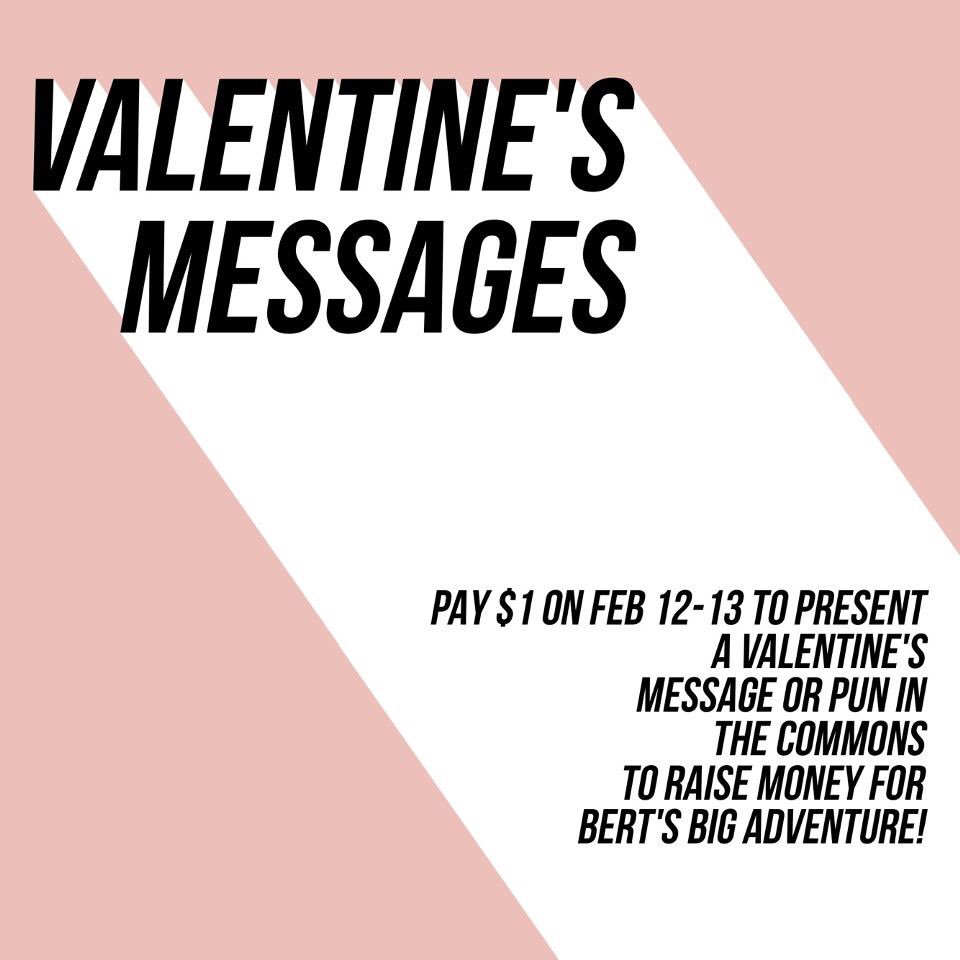 NGStuCo's tweet photo. Please help us raise money for Bert’s Big Adventure. Make sure to bring $1 to your lunch on Monday and Tuesday so you can write a Valentine message/pun. https://t.co/uzxsPt4TO0