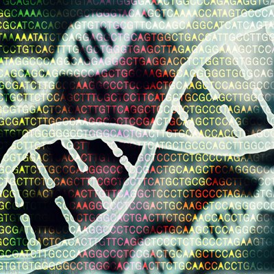 TransmitScience's tweet image. new #TScourse Manipulation of NGS Data for #Genomic and Population #Genetics Analyses!

Benefit from early bird registration with reduced fees until February 28th, 2018.

transmittingscience.org/courses/geneti…