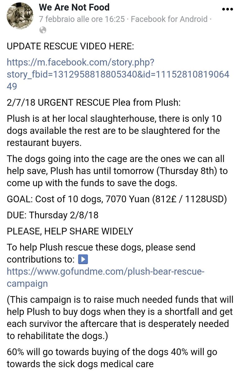 TamaraSka7's tweet image. ❗THE HEINOUS #DOGMEATTRADE IN #CHINA❗PLS HELP THE ACTIVISTS❗#PlushBear➡gofundme.com/plush-bear-res…

ℹfacebook.com/We-Are-Not-Foo…