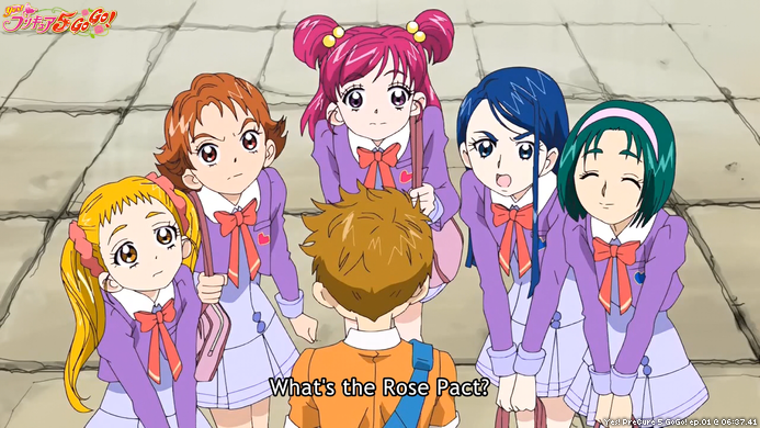 Yes! PreCure 5 GoGo!, Anime Gallery