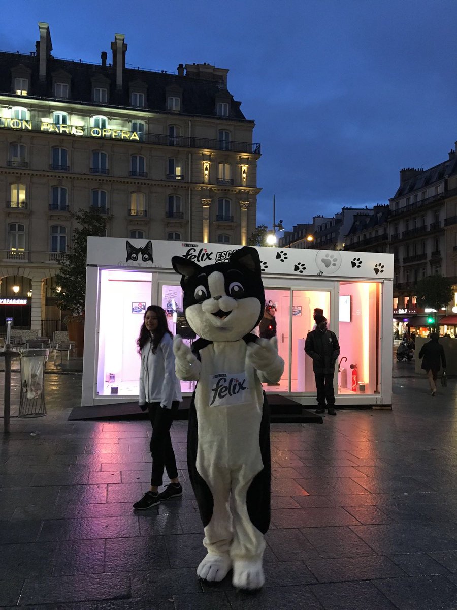 Purina_Felix_FR's tweet photo. Le weekend est fini mais FELIX sera encore là demain pour vous accueillir dans son Escape Game 😀Le 12 Février : le Jour de la fête de tous les chats!  Menez l'enquête sur le parvis de la Gare Saint Lazare 🧐#saintfelix2018 https://t.co/cznwjDigWZ