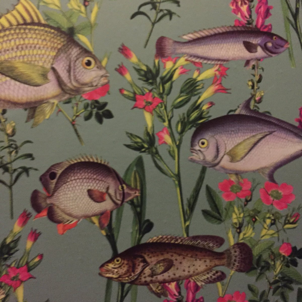 Great #craftbeers &amp; #pubfood today @Bell_E17 including this on the outside wall &amp; <a href="/NirvanaBeerCo/">Nirvana Brewery</a> #karmapaleale