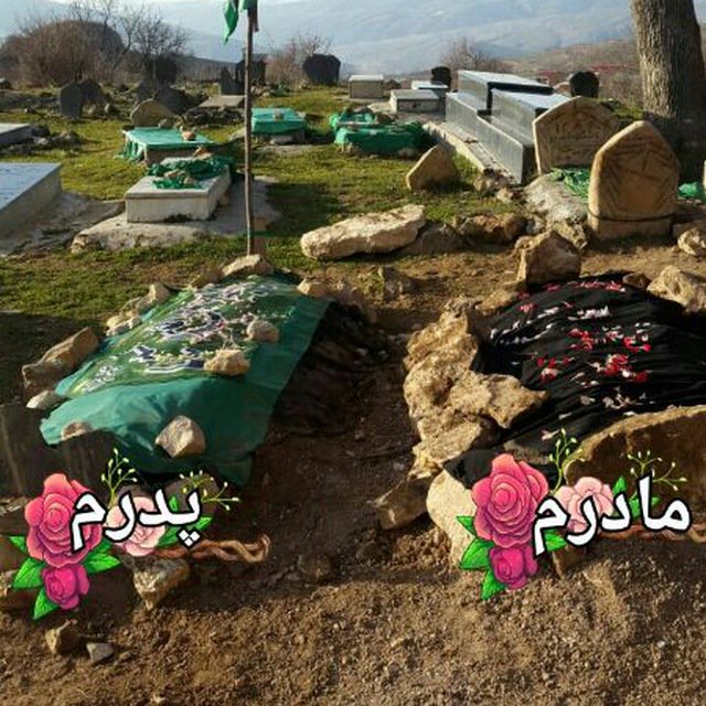 abuezrail_gorganii tweet media