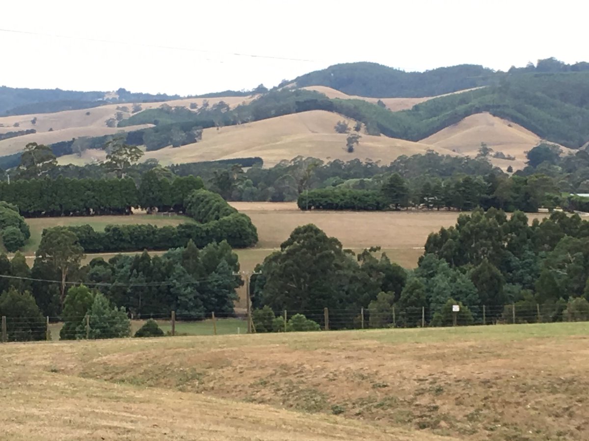 gardinerdairy's tweet photo. Kicking off the Australian Dairy Conference with the Pre-conference tour at AgVic research facility at Ellinbank. @AusDairyConf #Adcmelb2018 #ausdairy https://t.co/hzDjiVvbPf
